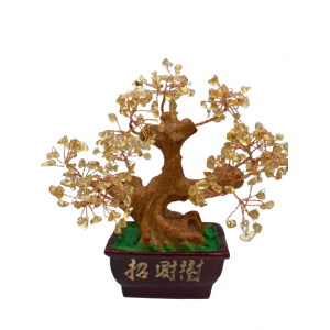 Δεντράκι κιτρίνη