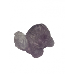 Χελώνα αμέθυστου