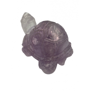 Χελώνα αμέθυστου